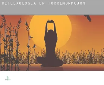 Reflexología en  Torremormojón