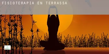 Fisioterapia en  Terrassa