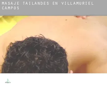 Masaje tailandés en  Villamuriel de Campos