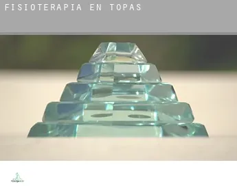 Fisioterapia en  Topas