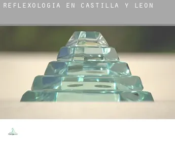 Reflexología en  Castilla y León