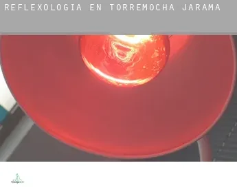 Reflexología en  Torremocha de Jarama