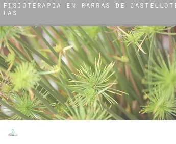 Fisioterapia en  Parras de Castellote (Las)