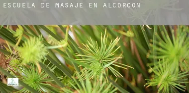 Escuela de masaje en Alcorcón