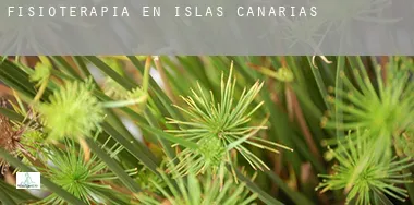 Fisioterapia en Islas Canarias