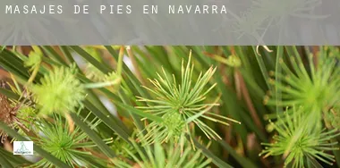 Masajes de pies en Navarra