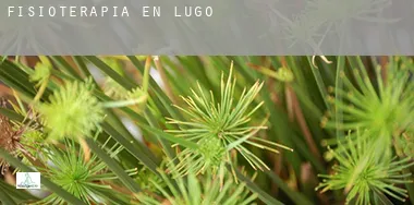 Fisioterapia en Lugo