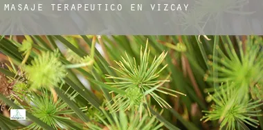 Masaje terapeútico en  Vizcaya