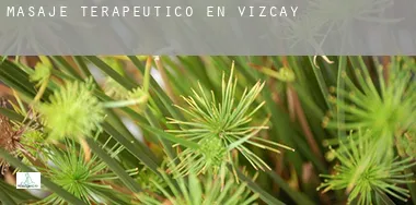Masaje terapeútico en Vizcaya