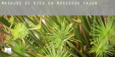 Masajes de pies en Masegoso de Tajuña