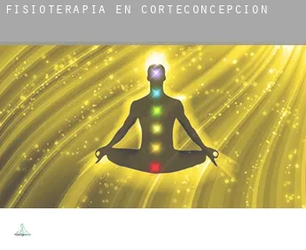 Fisioterapia en  Corteconcepción