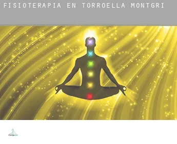 Fisioterapia en  Torroella de Montgrí