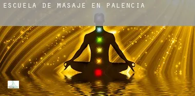Escuela de masaje en  Palencia