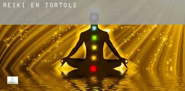 Reiki en Tórtoles