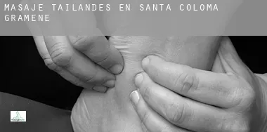 Masaje tailandés en Santa Coloma de Gramenet