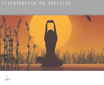 Fisioterapia en  Saelices