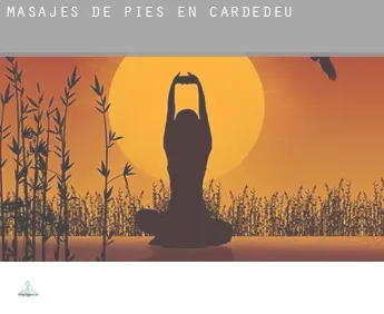 Masajes de pies en  Cardedeu