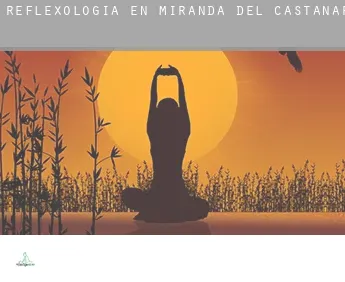 Reflexología en Miranda del Castañar