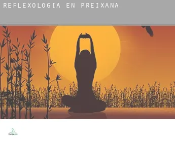 Reflexología en  Preixana