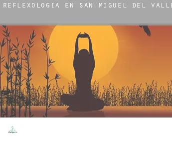 Reflexología en  San Miguel del Valle