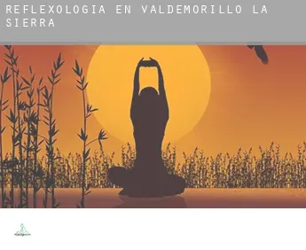 Reflexología en  Valdemorillo de la Sierra