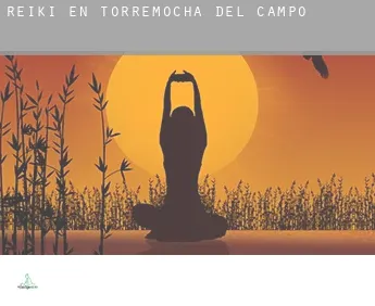 Reiki en  Torremocha del Campo