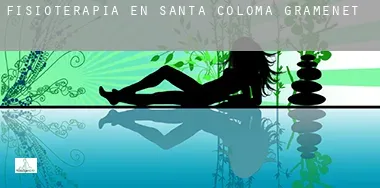 Fisioterapia en  Santa Coloma de Gramenet